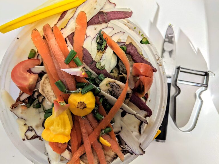 Easy Ways to Reduce Food Waste at Home and Save Money